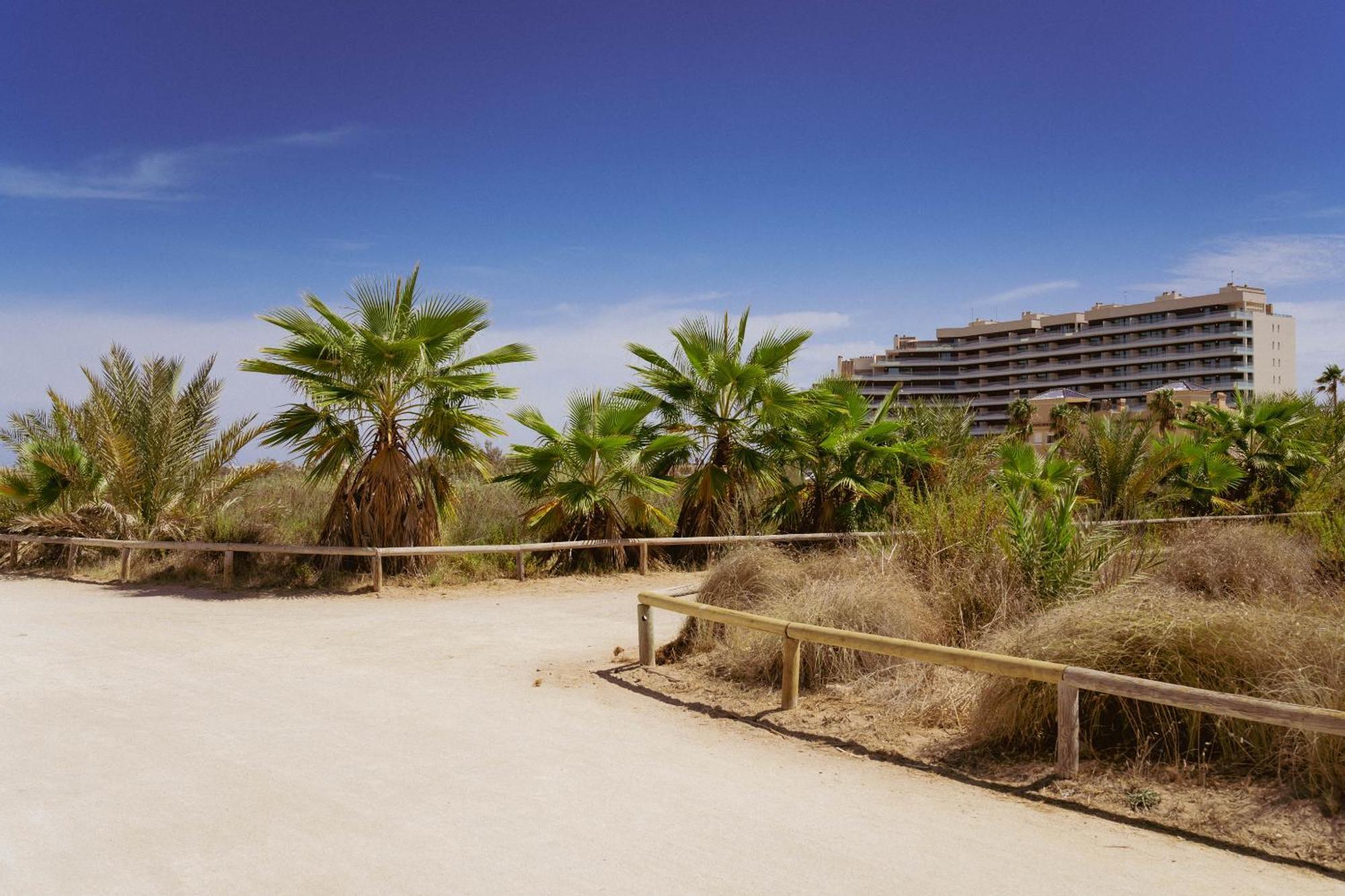 Los Flamencos - Playa Paraiso - Calle Bomilcar การ์ตาเฮนา ภายนอก รูปภาพ